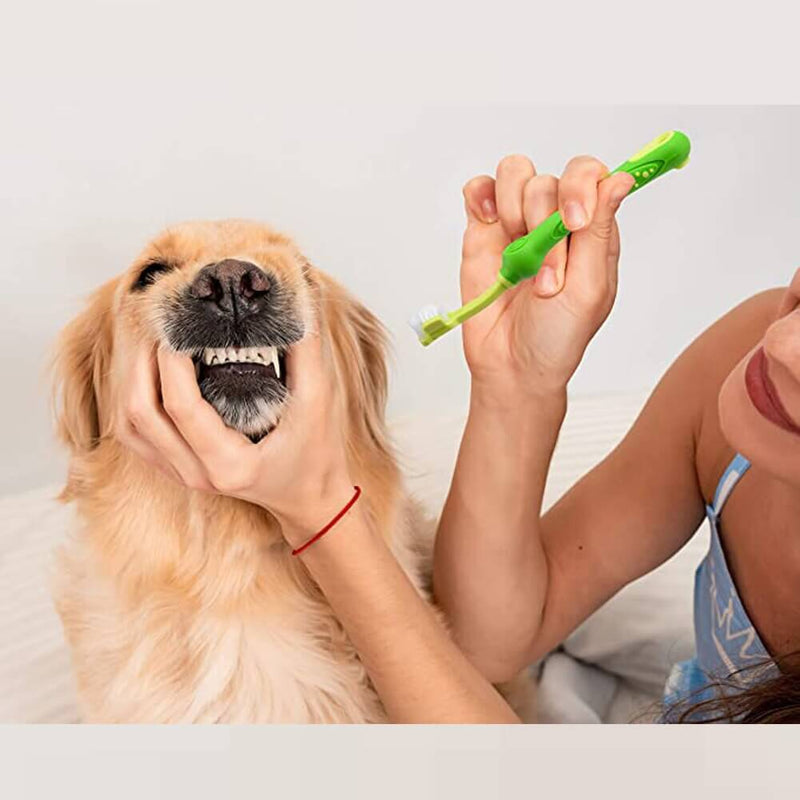 pasta de dente para cachorro